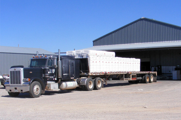 Cotton Seed Donated to Feed Cattle of Wildfire Victims